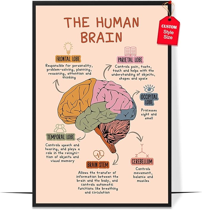 LOLUIS Mental Health Poster, Boho Therapy Tools Educational Supplies Art Print Classroom School Office Decor (The Human Brain, Custom Frame Type)