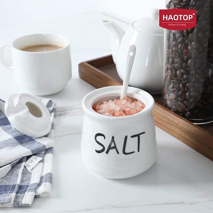 HAOTOP Salt Bowls with Lid and Spoon -12 oz Ceramic Salt Cellar, Salt Containers, Spice Box for Counter, Farmhouse Kitchen Decor, White
