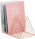 EASEPRES Rose Gold Magazine Holder, Desktop File Sorter Organizer Triangle 9 Slot Newspaper Record Storage Shelf Rack for Home Office Decoration
