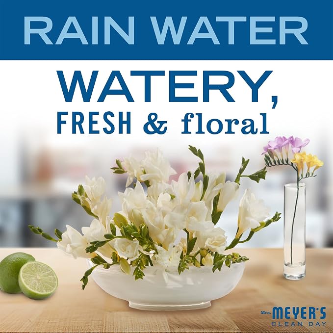 Mrs. MEYER'S CLEAN DAY foaming Hand Soap, Rainwater Scent (10 Fl Oz (Pack of 4))