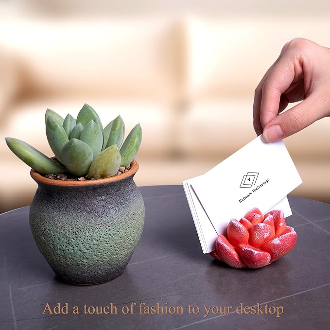 Resin Cute Succulent Business Card Holder for Desk - Stylish Desk Organizer & Vertical Display Stand for Office & Store - Unique Gift & Decor for Name Cards