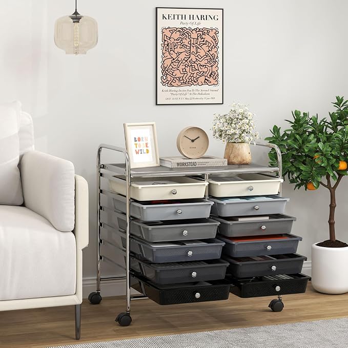 LDAILY 12 Drawer Rolling Storage Cart, Craft Cart Organizer on Wheels w/Metal Frame, Large Capacity & Smooth Drawer, Rolling Cart w/Drawers for Classroom, Office