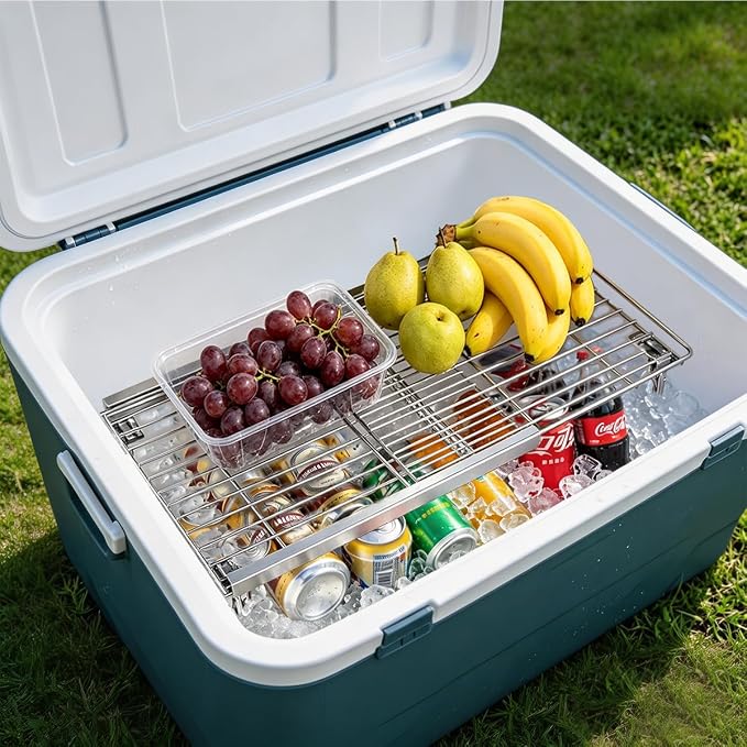 Orgneas Expandable Freezer Shelf, 15.8"-22" Adjustable Cooler Shelf Organizer, Thickened Heavy Duty Cabinet Shelf Organizer and Storage for Kitchen Pantry Refrigerator and Cooler