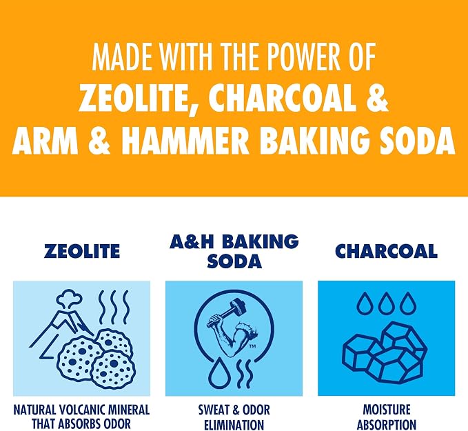 Arm & Hammer In-Shoe Odor Destroying Pouches, Shoe Deodorizer Insert for Reducing Odor and Absorbing Moisture, Smell Eliminator for All Footwear, Gym Bags and Work Boots (4 Pouches)