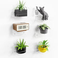 upsimples 6" Acrylic Shelves, Small Shelf for Wall Decor and Display, 6 Pcs | Small Floating Shelf for Plants, Speaker, Toys, Invisible Wall Display for Bathroom, Bedroom, Living Room, Room Décor