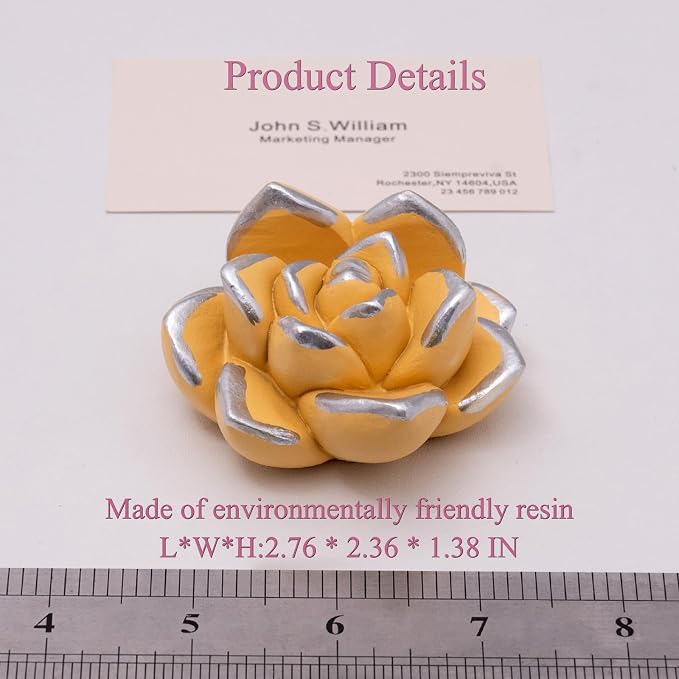 Resin Succulent Business Card Holder Set of 5 - White, Pink, Green, Purple, Yellow - Cute Card Display Stand for Store, Weddings and Office Desk Decor Accessories - Unique Gift for Women