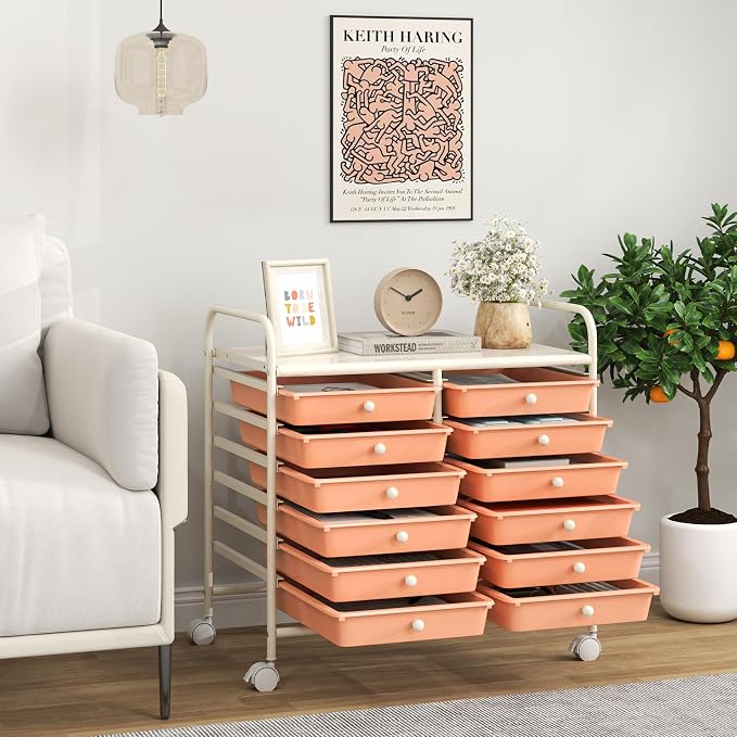 LDAILY 12 Drawer Rolling Storage Cart, Craft Cart Organizer on Wheels w/Metal Frame, Large Capacity & Smooth Drawer, Rolling Cart w/Drawers for Classroom, Office