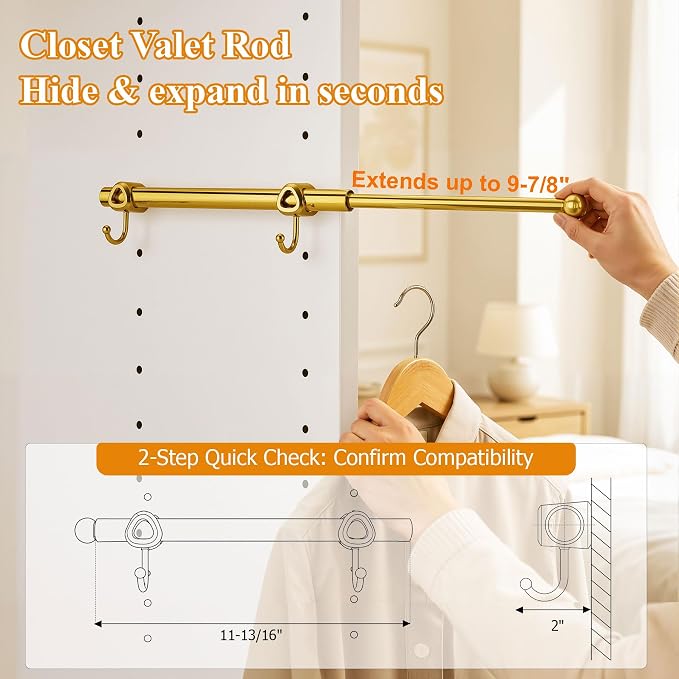 12" Valet Rod for Closets Pull Out, Closet Valet Rod Slide Out with 2 Hooks, Brushed Gold