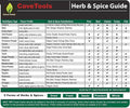 Spice Rack & Herb Organizer Set Magnet - Kitchen Cooking Guide Conversion Chart with Grilling Rubs & BBQ Seasoning Substitutions - Measuring Spoon Barbecue Accessories Gift Idea by Cave Tools