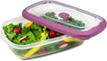 Tribello Freezer To Microwave 4.1-Cup Food Storage Containers With Airtight Lids, Microwave safe with Steam Vents lids, On The Go Meal Prob Lunch Containers - Dishwasher Safe, BPA-Free (33oz)