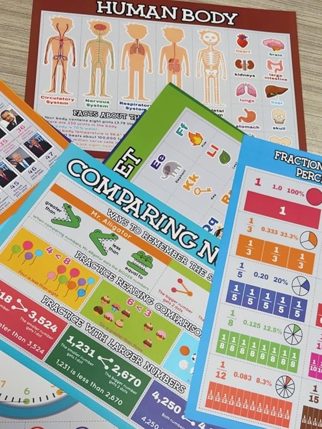 Flora Maria Shop 33 Set Educational Posters for Toddlers 1-3 - 66 Options For Learning Poster for Kids 3-5 - Educational Classroom Decor For Home School & Daycare -Alphabet Chart - Kindergarten & Preschool Classroom Must Haves