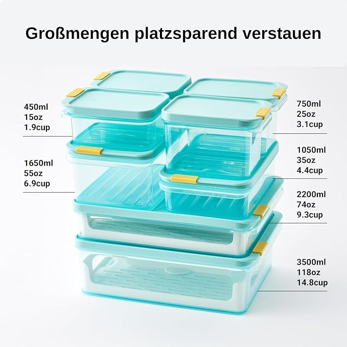 LocknLock Freezer Fit Plastic Freezer Containers | Airtight Stackable Food Storage for Meal Prep | Microwave & Dishwasher Safe | BPA Free Freezer Container with Lid, 750ml