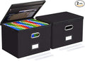 Oterri 2 Pack Large File Organizer Boxes with Lids, File Box with Mesh Pockets, Document Organizer Box for Letter/Legal Size Folders, Zippers Important Document Organizer (Black, Without Folders)