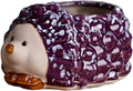 Ceramic Hedgehog Shaped Pen Pencil Holder for Desk Decoration Accessories Hedgehog Decor Makeup Brush Pen Cups Succulent Plant Pot Office School Ideal Gifts for Women, Mom or Birthdays