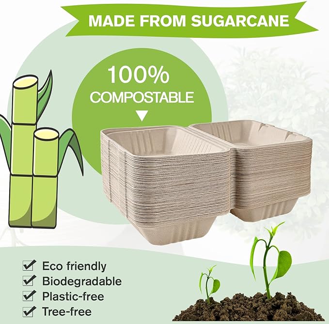 ECOLipak 75 Pack Compostable Clamshell Take Out Food Containers, 9x6 inch | Heavy-Duty Disposable To Go Boxes, Eco-Friendly Biodegradable To Go Containers For Food, Perfect for Next Day Lunch, Party