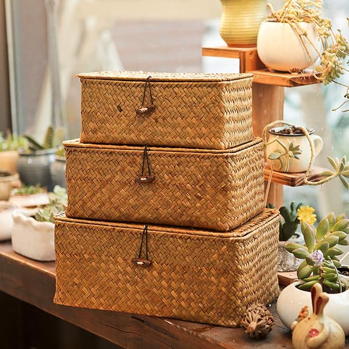 Yesland Small Shelf Baskets with Lid Set of 3, Compact Handwoven Seagrass Storage Bins Rectangular Wicker Basket for Shelf Organizer, Closet, Desktop