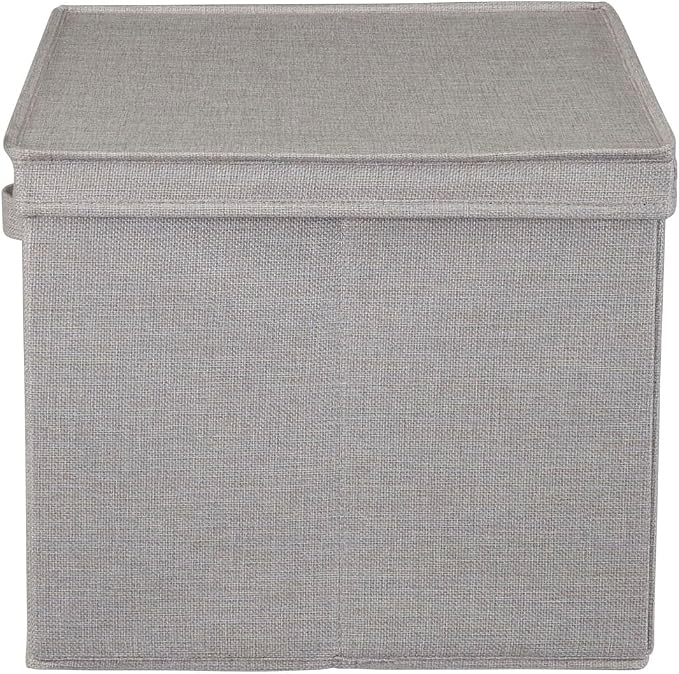 Household Essentials Large Storage Bin with Lid, Sturdy Sides and Base with Front Handle, Silver