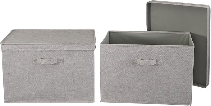 Household Essentials Large Storage Bin with Lid, Sturdy Sides and Base with Front Handle, Silver