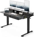 FEZIBO 55 x 30 inch Standing Desk with Drawers, Height Adjustable Electric Workstation, Computer Sit Stand Up Table with Large Storage Shelf 4 Drawers and 2 Hooks, Black