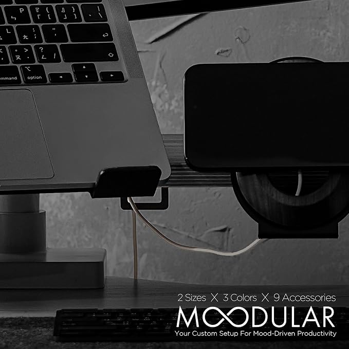 ULTRARM Moodular Cable Organizer 2-Pack Add-On for Rails, Do Not Use Alone | Accessory Only, Cables Organized, Hidden Yet Accessible, Durable & Secure, Tangle-Free & Efficient, Metal, Black, MSA-CO