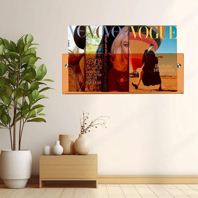 2-Pack Orange Acrylic Magazine Holder Brochure Holder,17 Inch Hanging Magazine Rack with Hardware, Floating Bookshelf Brochure Display Organizer for Home, Office, Reception Area