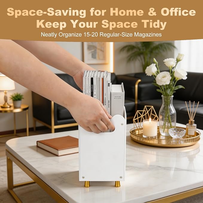 Acrylic Magazine Rack with Handle,Detachable Side Pen Slot,Wave HollowOut Design,Replaceable Anti-Slip Feet,Magazine Rack floor for Stationery File Snack Home Office Organization (White, 13x5.1x8.7")