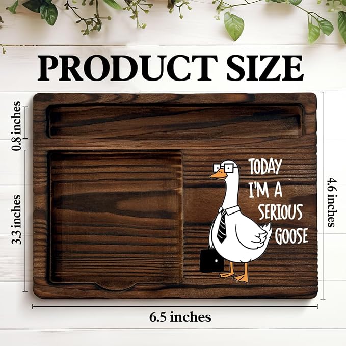 Funny Gag Gifts for Coworkers Today I'm a Serious Goose Sticky Note Holder, Funny Work Gifts for Coworkers Colleague Boss Teacher Nurse