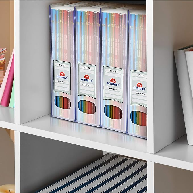 Acrimet Magazine File Holder, Vertical Desk Organizer, Clear, 2 Pack | Durable Plastic, Office & Home Use, Rack Design for Folders and Mail, Space-Saving Storage