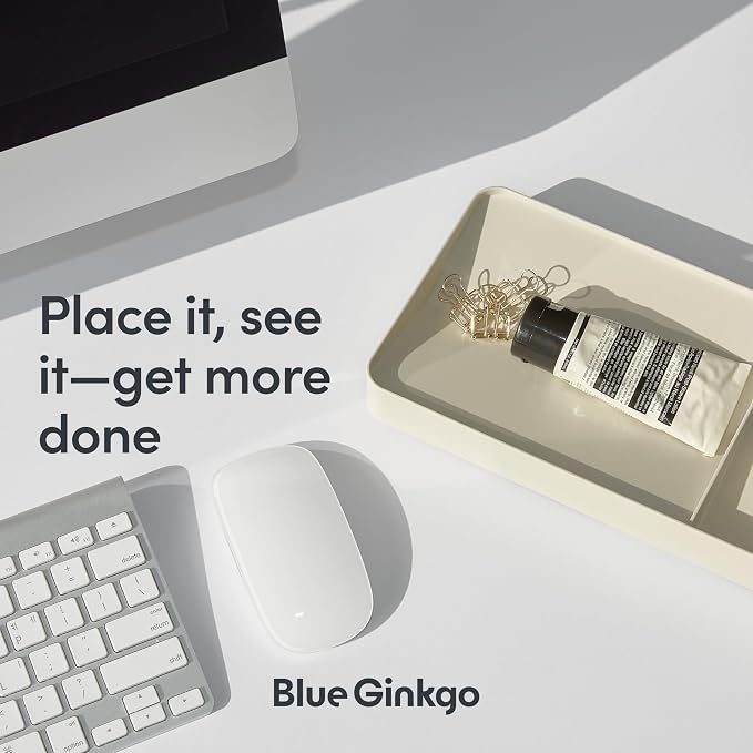 BLUE GINKGO Desk Organizer Tray - Office Organization | Desk Supplies, Pencil Holder, Pen Holder for Desk | Office Desk Accessories (Made in Korea) - Green