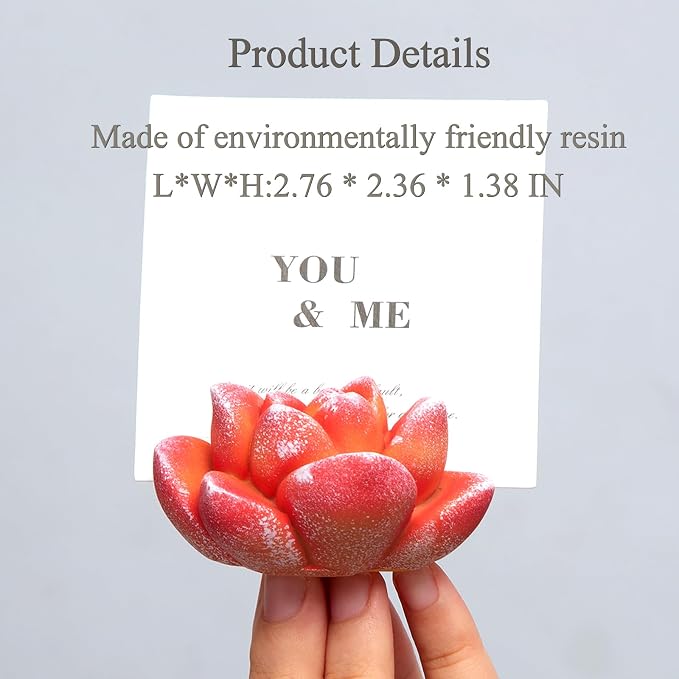 Resin Cute Succulent Business Card Holder for Desk - Stylish Desk Organizer & Vertical Display Stand for Office & Store - Unique Gift & Decor for Name Cards