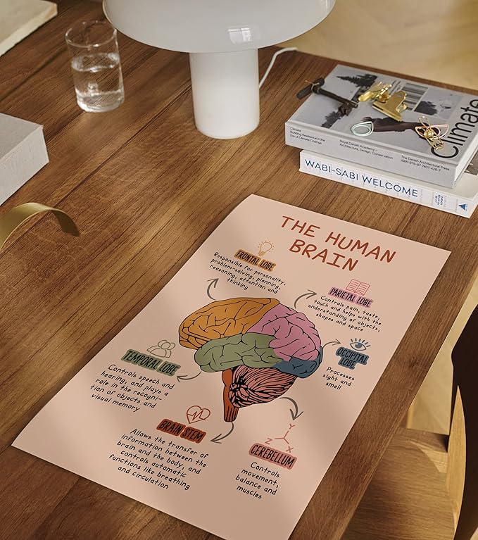 LOLUIS Mental Health Poster, Boho Therapy Tools Educational Supplies Art Print Classroom School Office Decor (The Human Brain, Custom Frame Type)