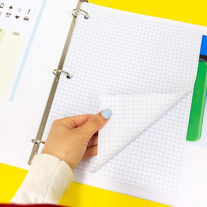 BAZIC Products Filler Paper Loose Leaf Papers 100 Sheet, 4-1" Quad Ruled, 3 Hole Punched for Ring Binders, Graph Drafting for Office School Student, 2-Pack