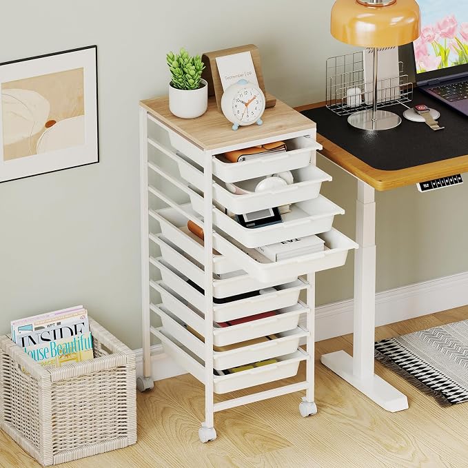 LDAILY Rolling Cart with Drawers, 10 Drawer Rolling Storage Cart with Wooden Tabletop, Metal Frame & Lockable Wheels, Craft Organizers and Storage for Home Office Classroom (White, 10-Drawer Small)