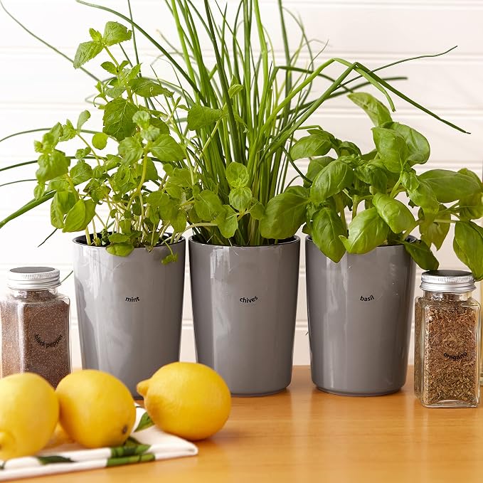 RSVP International Kitchen Organization Collection Spice Labels, Round, 50 Count