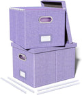 Oterri 2 Pack File Storage Organizer, Filing Box, Portable File Box with Lid, Fit for Letter/Legal File Folder Storage, Document Organizer, Lavender