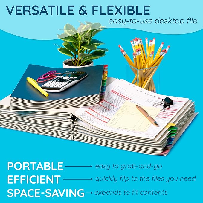 Blue Summit Expanding Monthly File Organizer, Letter Size 12 Month File Folder Organizer with Dividers, Paper Sorter for Desk and Documents (Pack of 2)