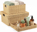 Wicker Storage Basket with Lid - Woven Storage Basket for Organizing,Rectangular Decorative Boxes Bins with Lids for Shelves, living room, Nursery, 2-Piece Set(Natural)