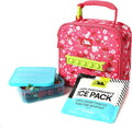 Arctic Zone Kids Lunch Box Combo with Gel Ice Pack and Sandwich Container, Insulated Bag for Travel Lunch, Sensory Fidget Toy Handle, Very Berry Cherry