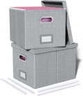 2 Pack File Storage Organizer, Filing Box, Portable File Box with Lid, Fit for Letter/Legal File Folder Storage, Document Organizer, Gray