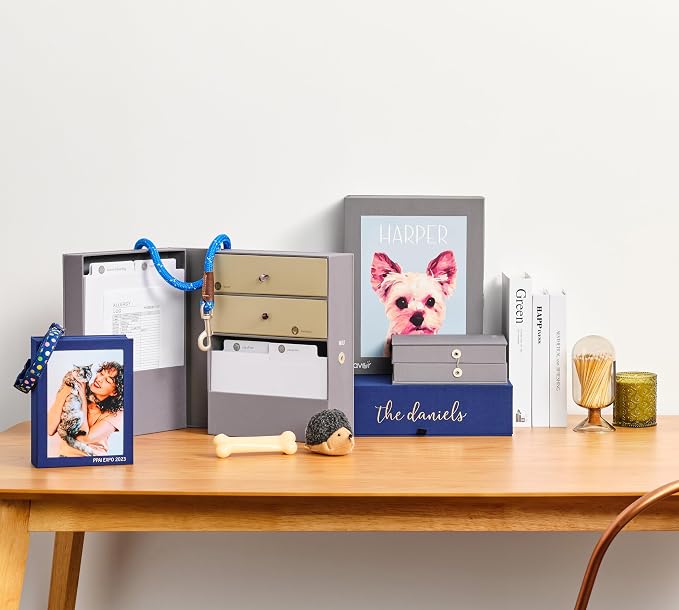 Savor | Pet Memorial Box for Dog, Cat, and Other Pets | Personalizable Pet Loss Sympathy Gift and Keepsake Box for Vet Records, Tags, Collars, Toys, and More (Blue, Adelaide Style)