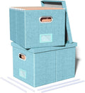 Oterri 2 Pack File Storage Organizer Box,Filing Box,Portable File Box with Lid,Fit for Letter/Legal File Folder Storage,Light-blue-Box only