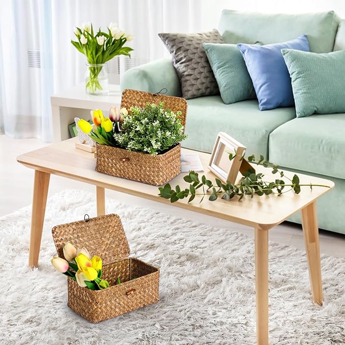 Natural Seagrass Storage Baskets with Lid,Multipurpose Home Organizer Bins Boxes for Shelf Organizer,Decorative Storage Bins