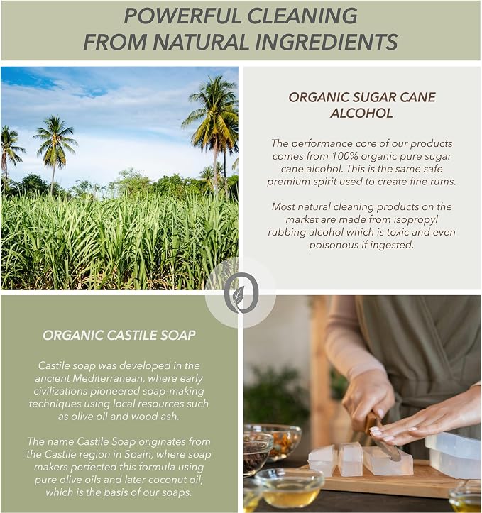 Non-Toxic Kitchen Cleaner 3 Pack (Stone, Steel, Glass) - Natural Organic Ingredients that Truly Perform - Light Coconut, Tea Tree & Wood Scent