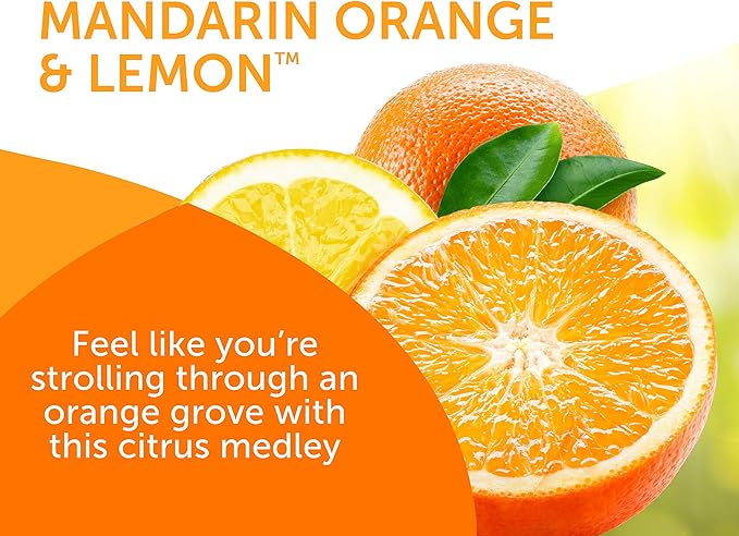 Bright Air Mandarin Orange & Fresh Lemon, 2-in-1 Moisture Absorber & Odor Eliminator, Case of 4, Lasts up to 60 Days Each
