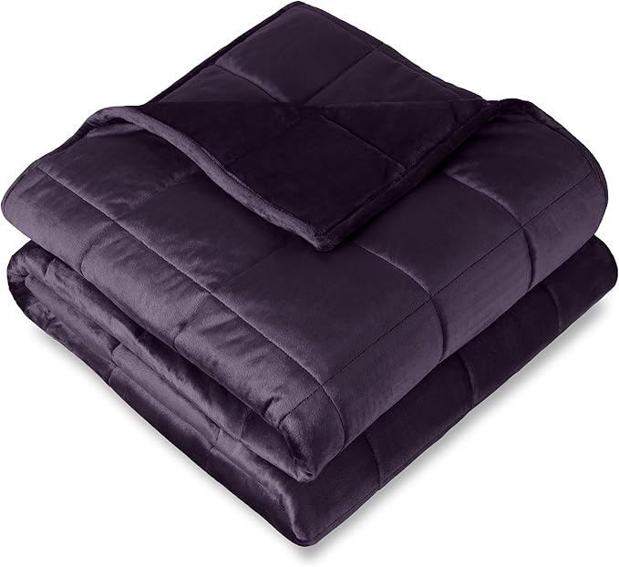 Bare Home Weighted Blanket Twin or Full Size 7lb (40" x 60") - Minky Fleece - Premium Heavy Blanket Nontoxic Glass Beads (Eggplant, 40"x60")