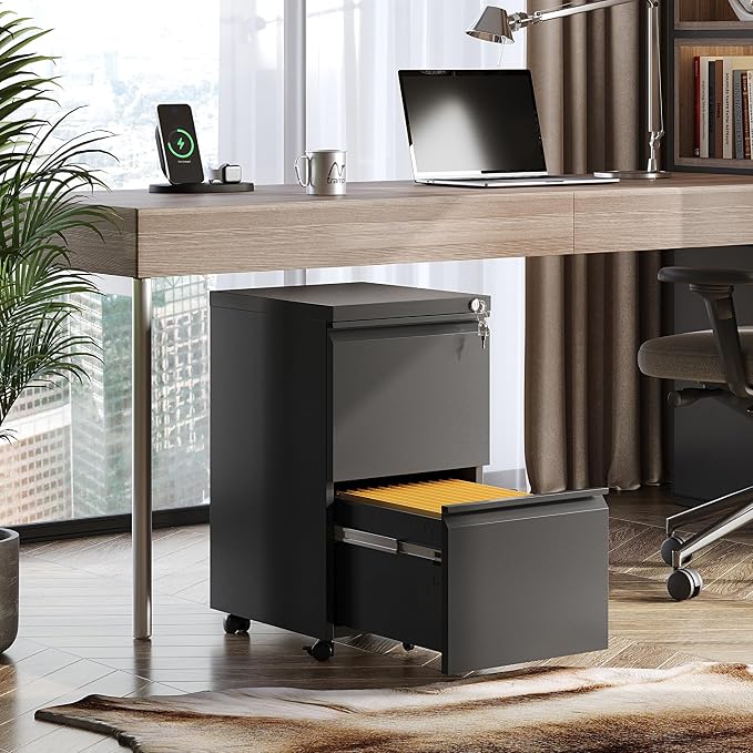 DEVAISE 2 Drawer Mobile File Cabinet, Fully Assembled | Under Desk Metal Filing Cabinet with Lock for Home Office, Fits Letter/Legal/A4 Size, Black