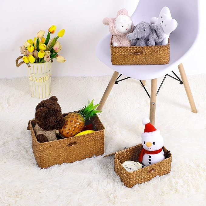 Natural Seagrass Storage Baskets with Lid,Multipurpose Home Organizer Bins Boxes for Shelf Organizer,Decorative Storage Bins