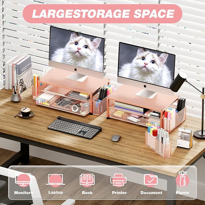 OPNICE Desk Organizers and Accessories, 2-Tier Computer Monitor Stand with Drawer and 2 Pen Holders, Laptop Stand, Office Desk Accessories for Office Supplies, Rose Gold