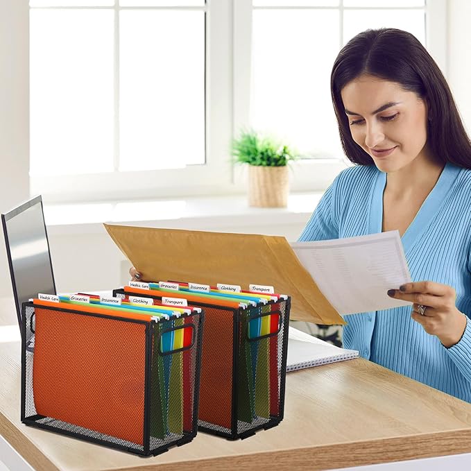 2 Pack Hanging File Holder, 10 Hanging Folders, Metal Mesh, Letter Size Folder Storage, Desktop Storage Cabinets, Office School Document(Multicolor,Small)