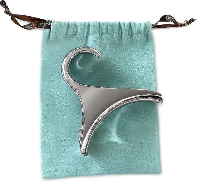 Bag-a-Vie Purse Hanger for Closet - Handbag Organizer Hooks for Hanging Bags & Purses, Protecting Bag Shape & Organizing Space (1 Hanger, Silver Metal)